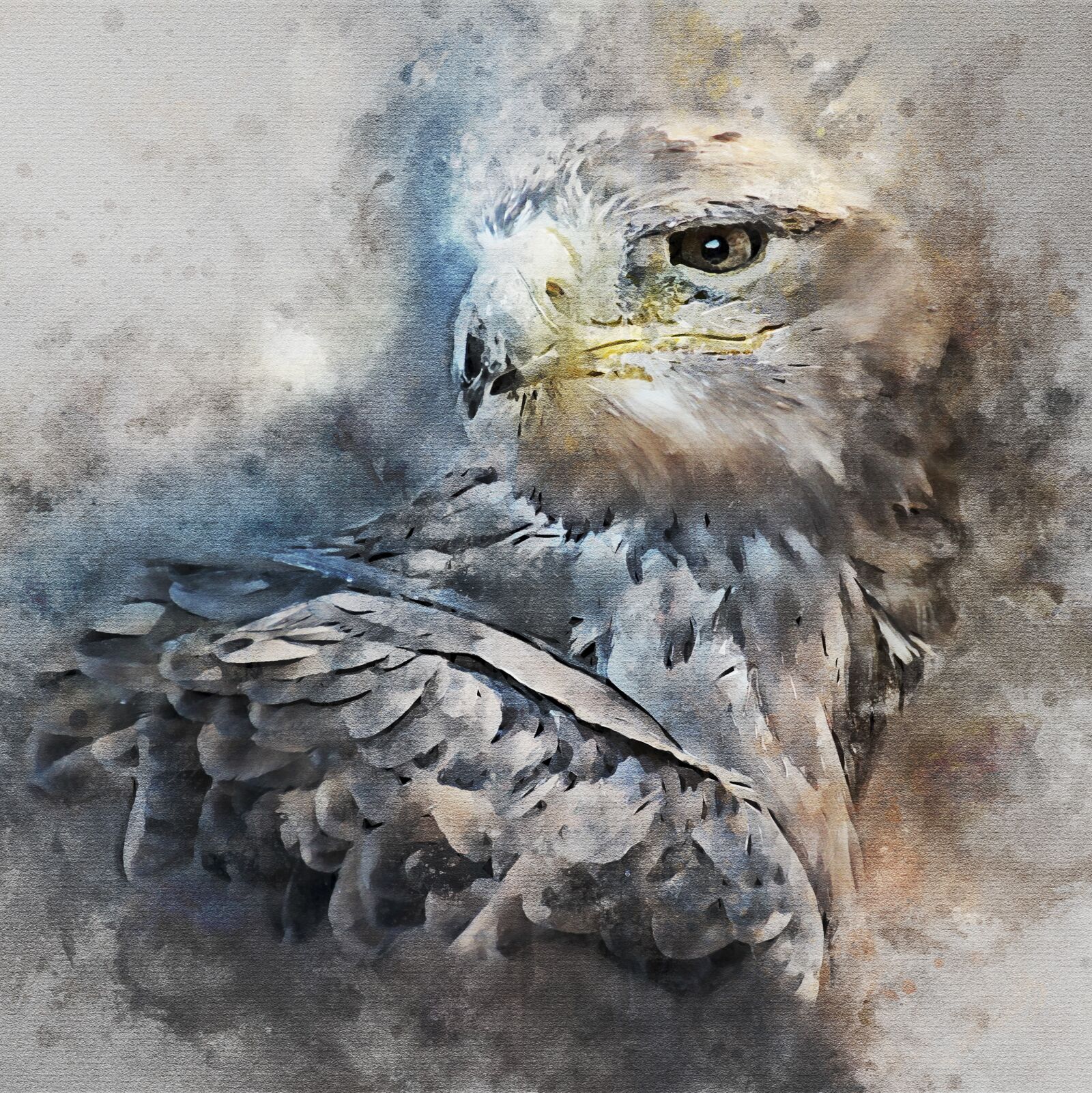Canon EOS 600D (Rebel EOS T3i / EOS Kiss X5) sample photo. Eagle, bird, nature photography