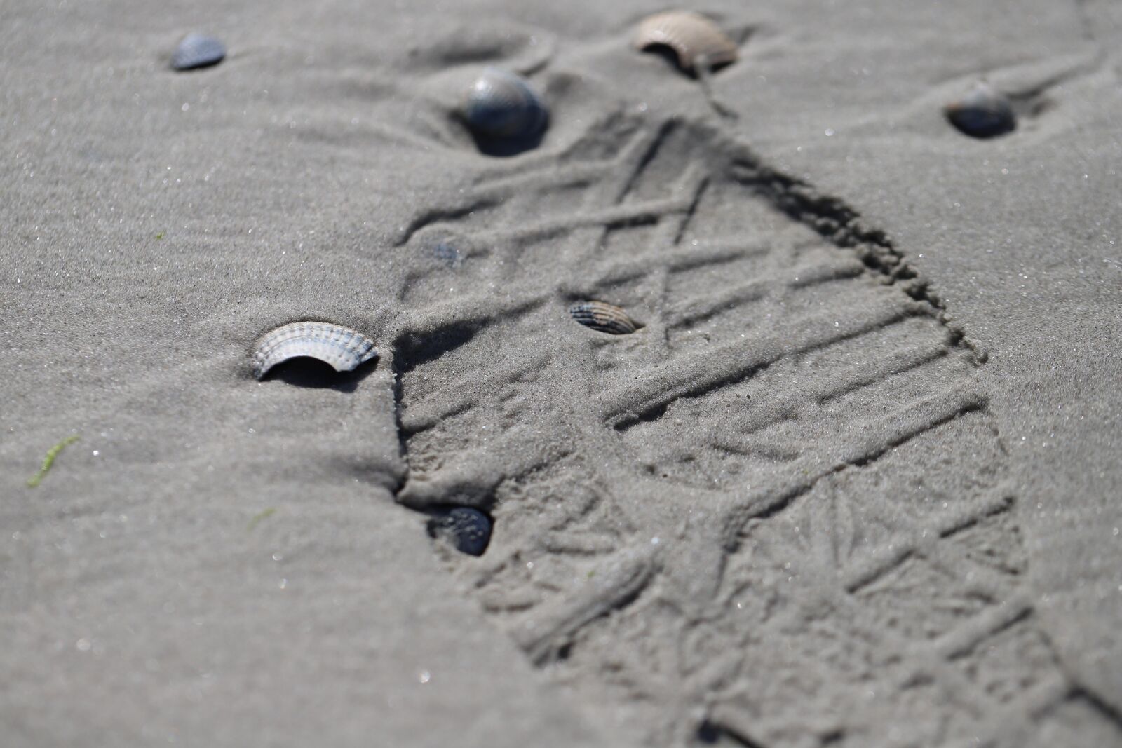 Canon EF 100mm F2.8L Macro IS USM sample photo. Time, vanishing, sand photography