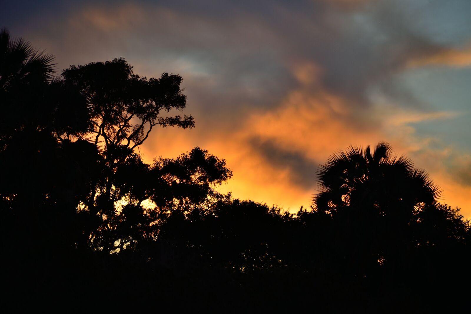 Nikon D800 sample photo. Sunset, zambezi, victoria falls photography