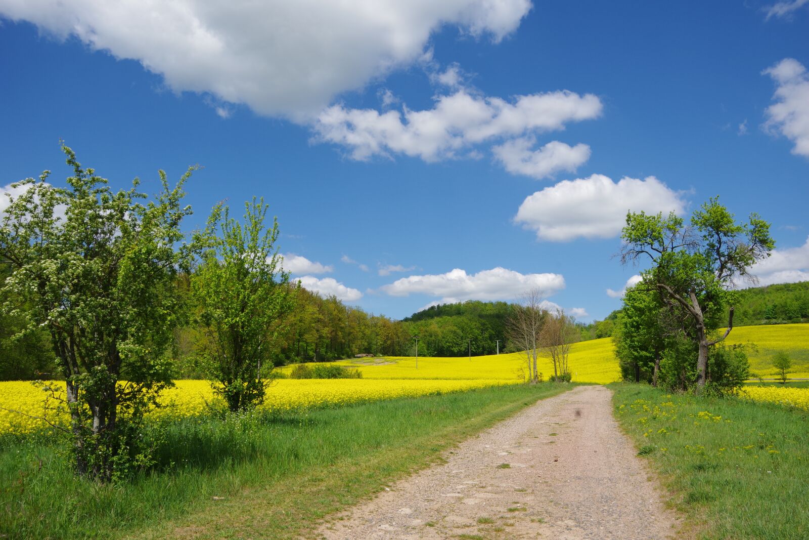 Pentax K-70 sample photo. Landschaft, countryside, clouds photography