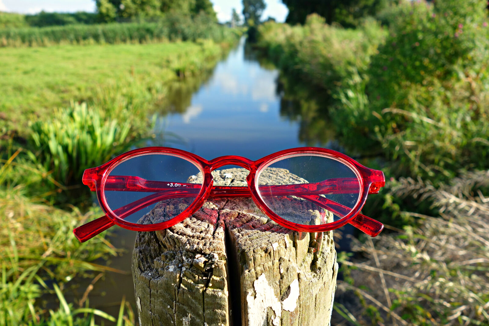 Sony Cyber-shot DSC-RX100 sample photo. Eye, glasses, optical, spectacles photography