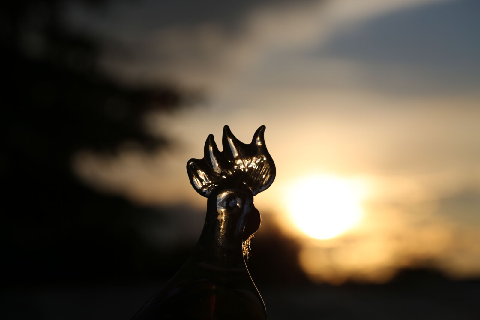 Canon EF 100mm F2.8L Macro IS USM sample photo. Evening, sculpture, sunset photography