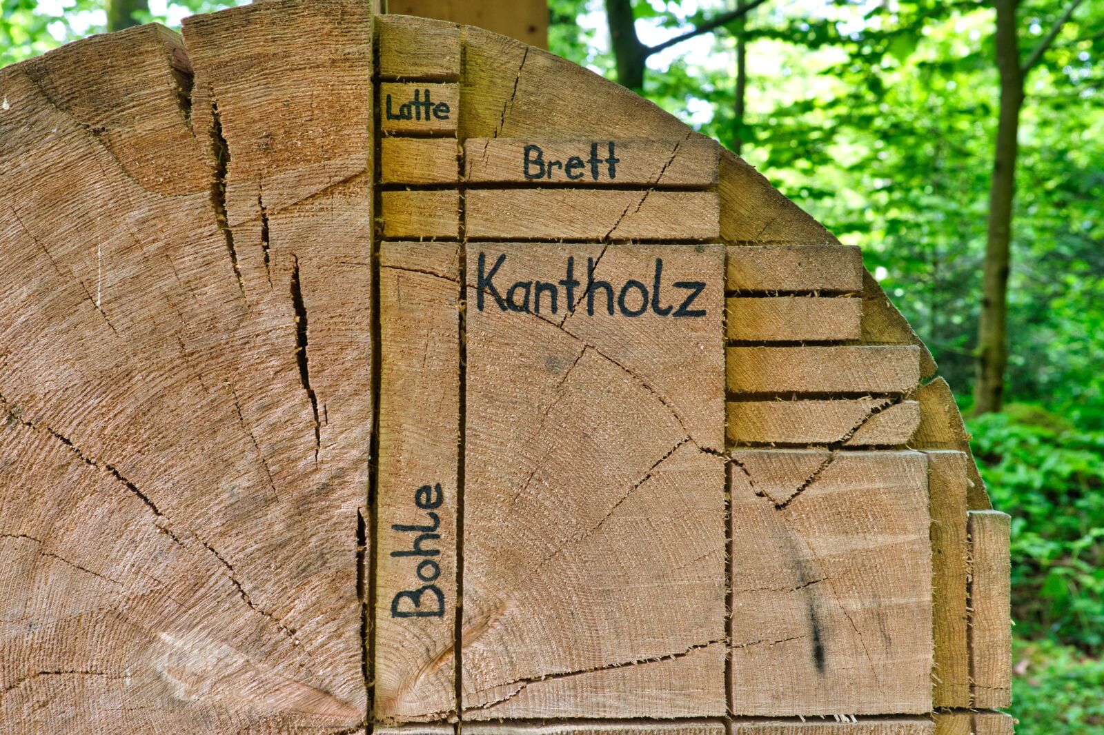 Nikon D7500 sample photo. Log, wood, cutting photography