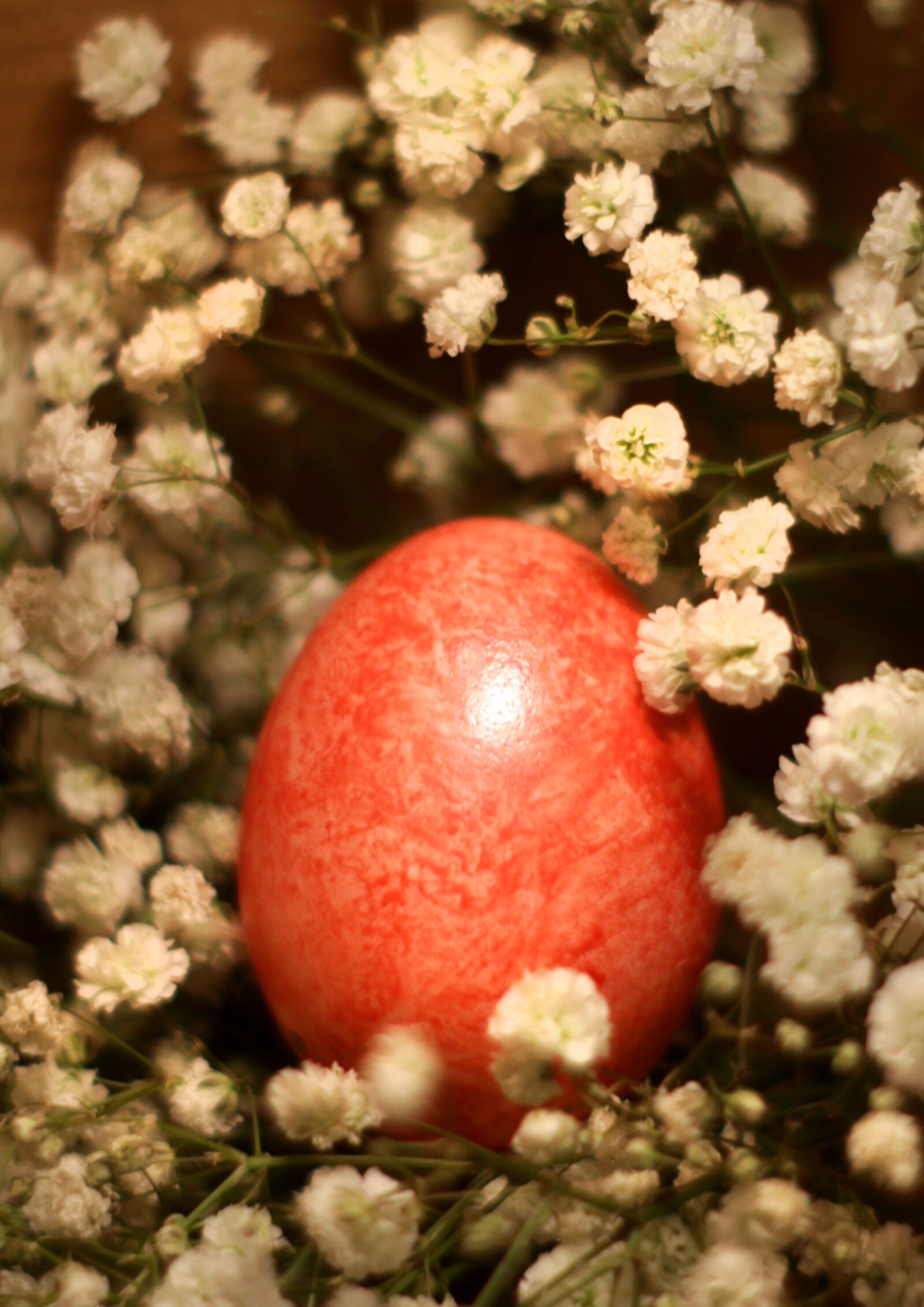 Canon EOS 1200D (EOS Rebel T5 / EOS Kiss X70 / EOS Hi) sample photo. Egg, flowers, easter photography
