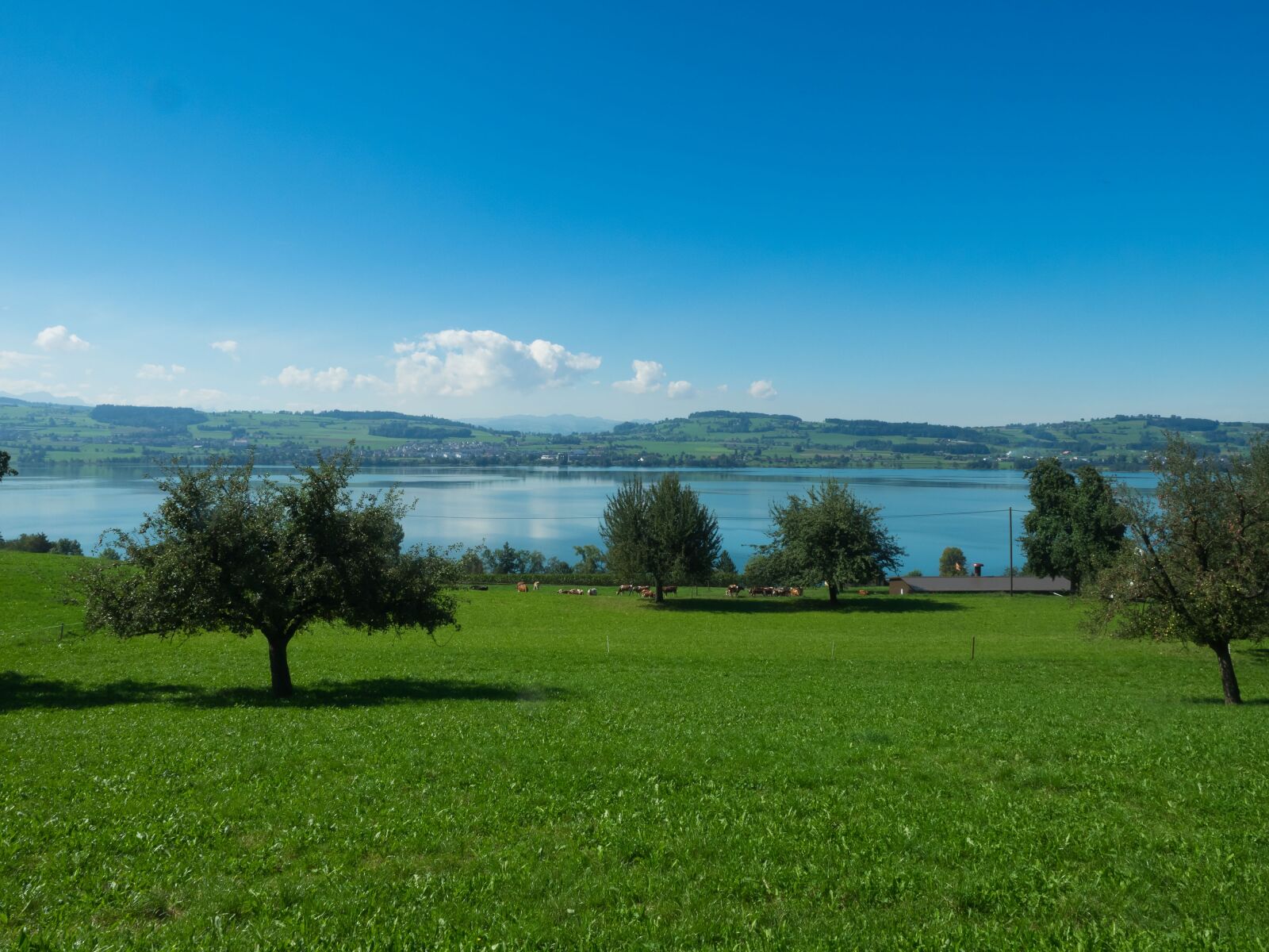 Olympus OM-D E-M1 + Olympus M.Zuiko Digital ED 12-40mm F2.8 Pro sample photo. Sempachersee, sursee, switzerland photography