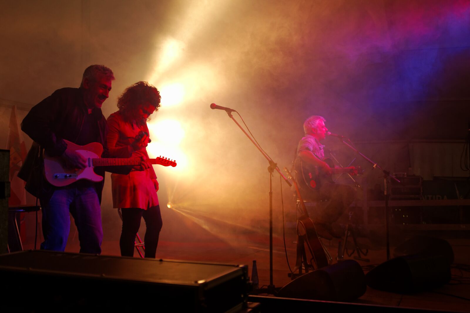 Canon EOS 60D sample photo. Concert, van de sfross photography