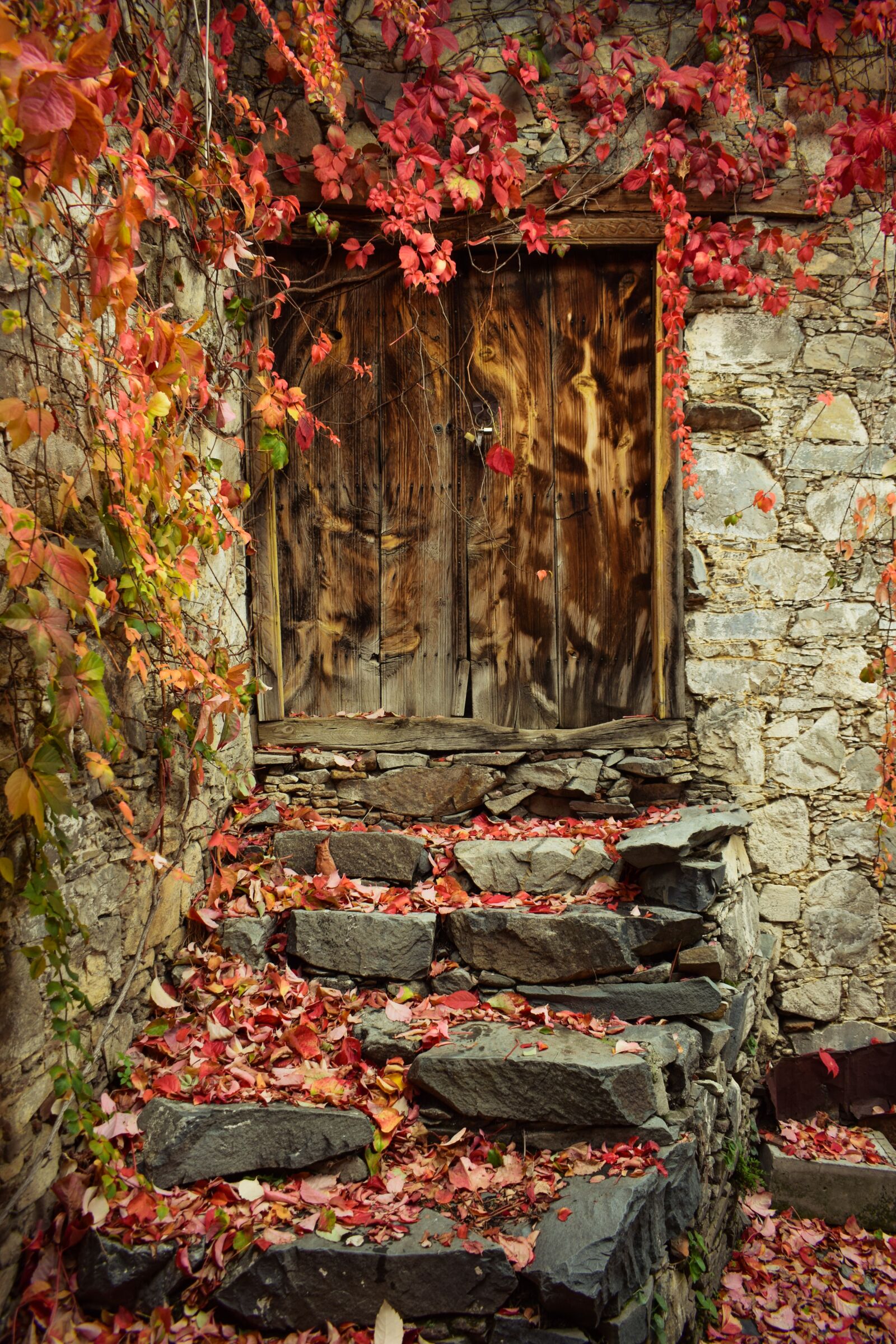 Nikon D3300 sample photo. Autumn mood, autumn colors photography