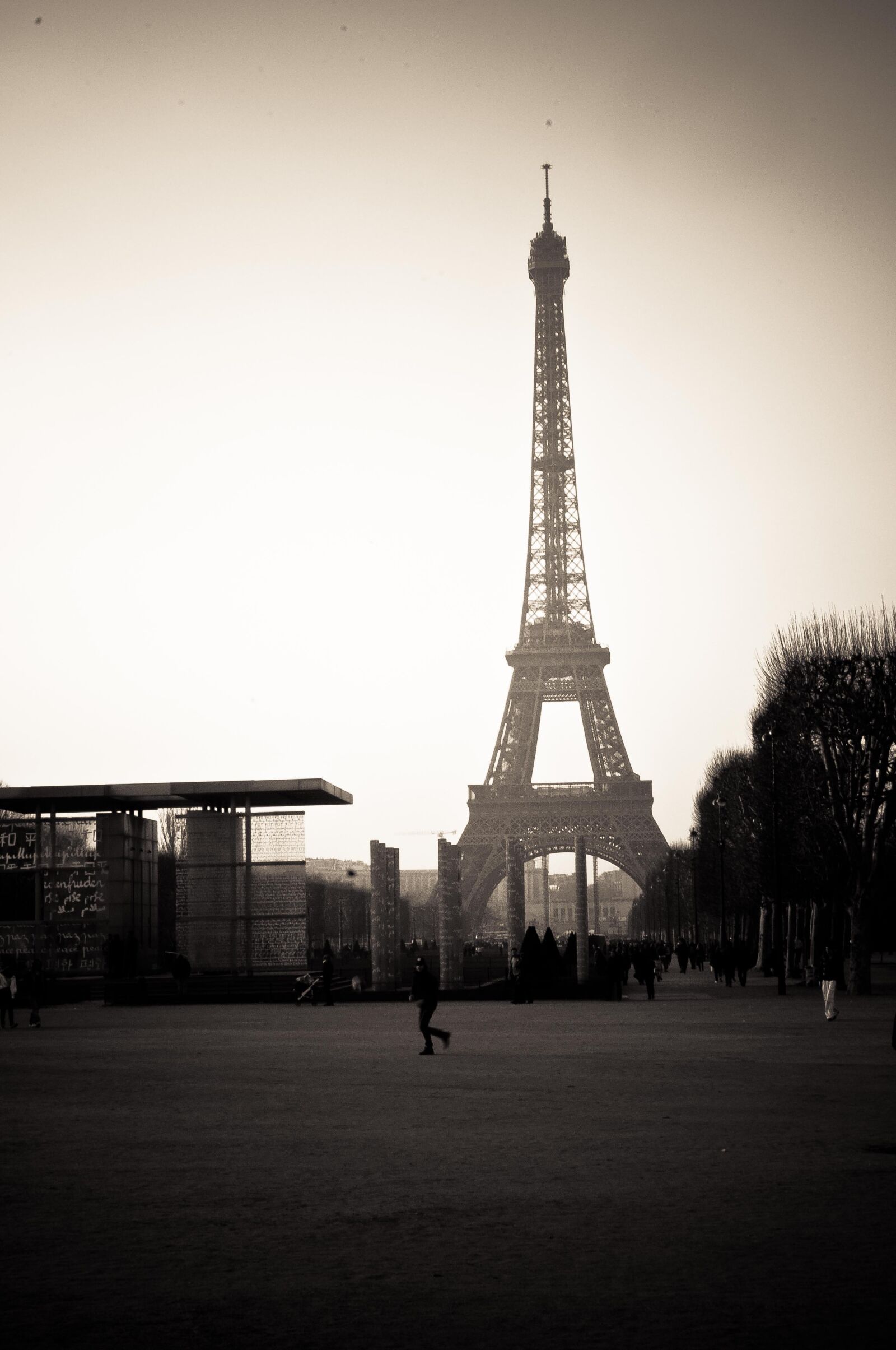 Nikon D90 sample photo. Paris, france, tower photography