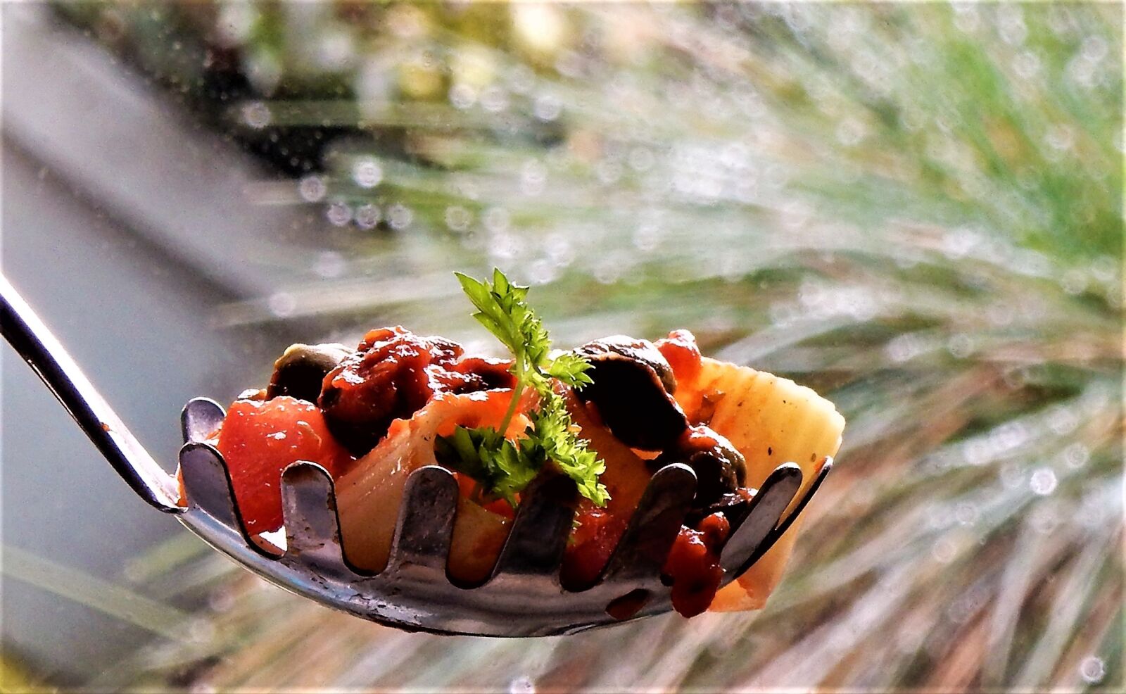 Nikon Coolpix S9900 sample photo. Pasta, italian, olives photography