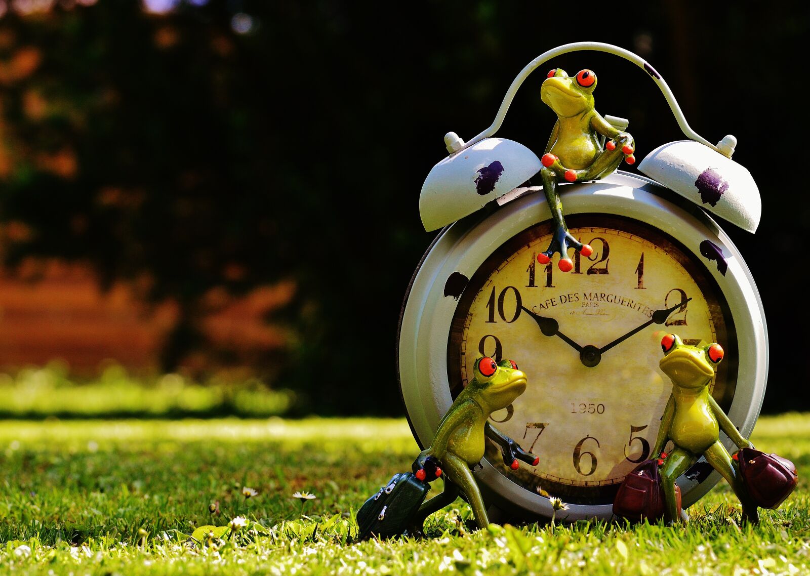 Nikon D3200 sample photo. Frogs, time to go photography