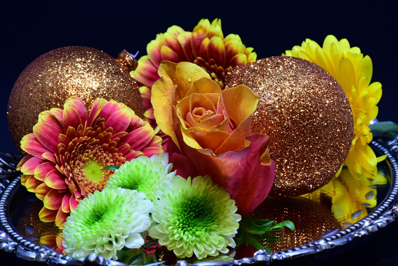 Nikon D7200 sample photo. Gerbera, flowers, shell photography