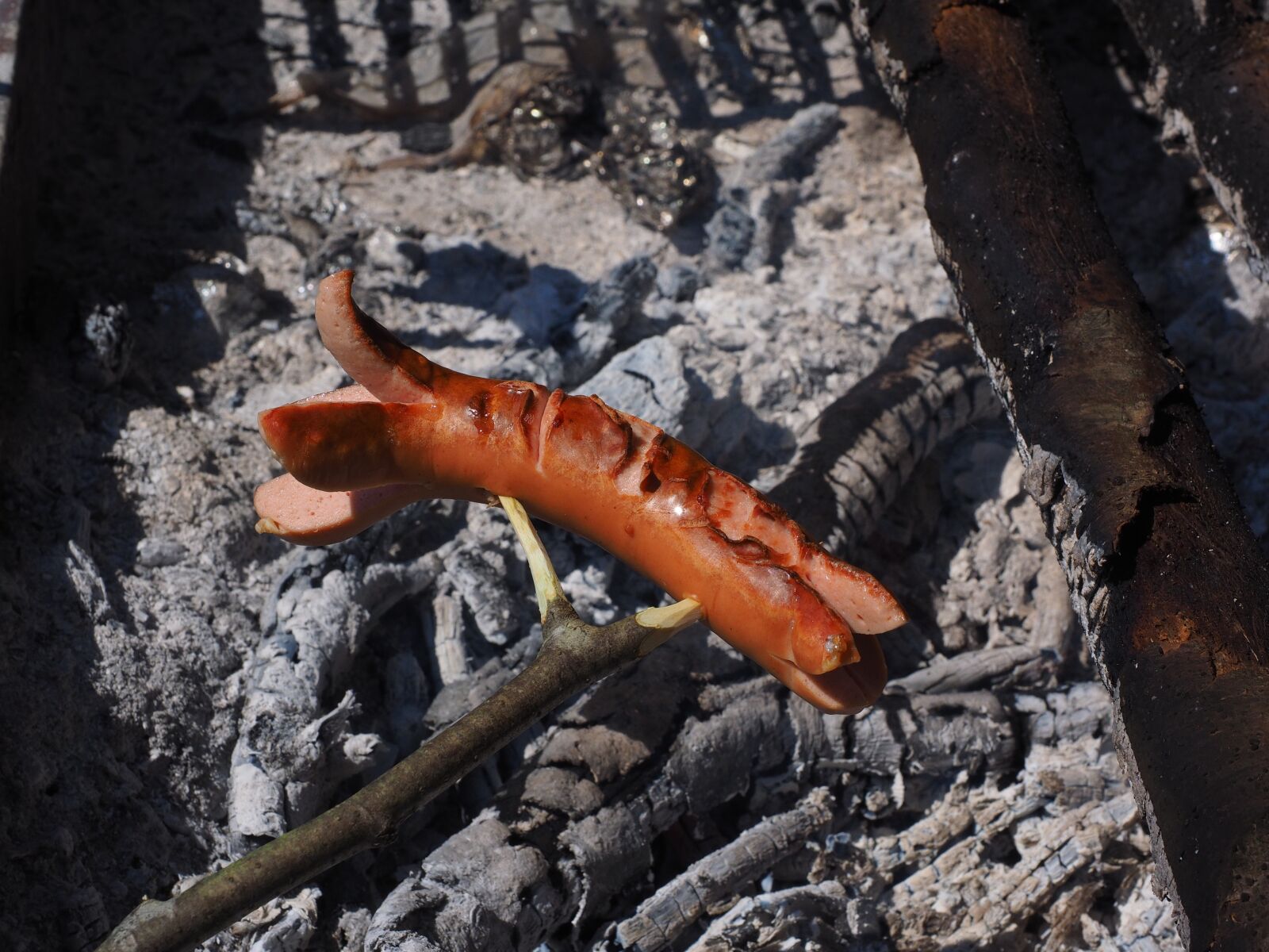 Olympus OM-D E-M1 + Olympus M.Zuiko Digital ED 12-40mm F2.8 Pro sample photo. Bratwurst, grill sausage, red photography