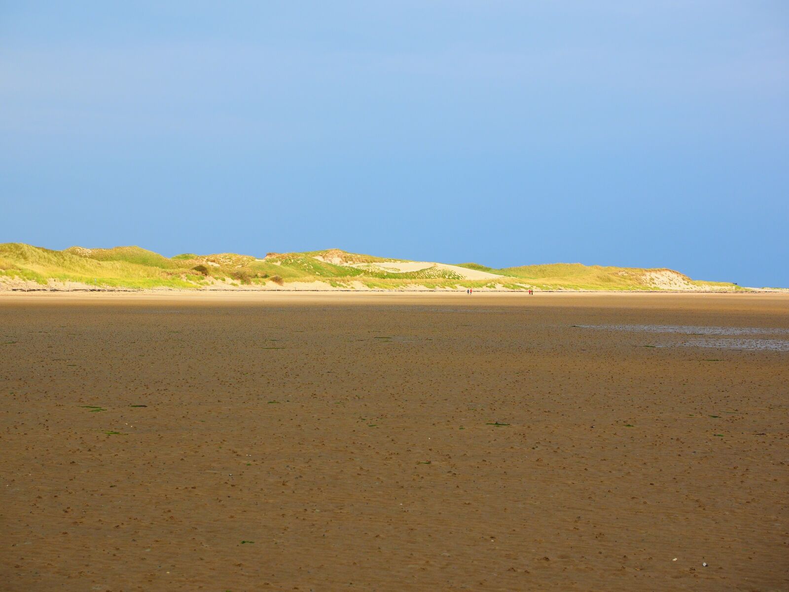Olympus OM-D E-M1 + Olympus M.Zuiko Digital ED 12-40mm F2.8 Pro sample photo. Watts, wadden sea, dunes photography