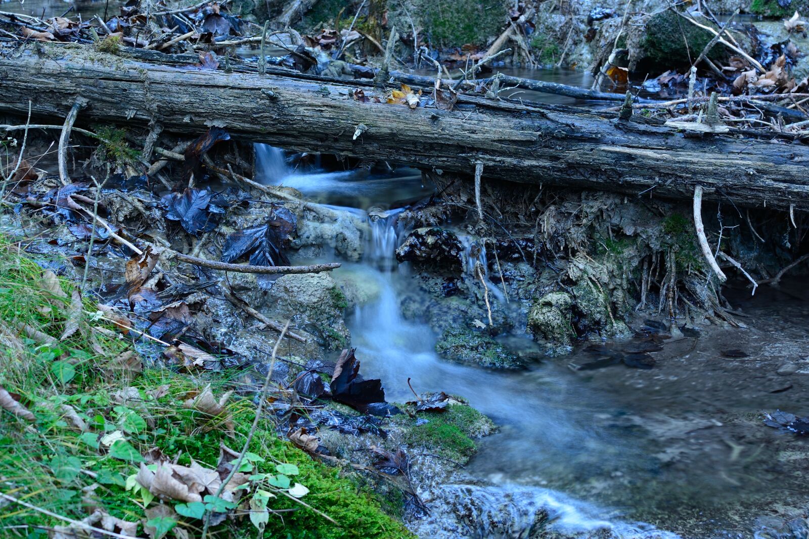 Nikon D7100 sample photo. Nature, bach, water photography
