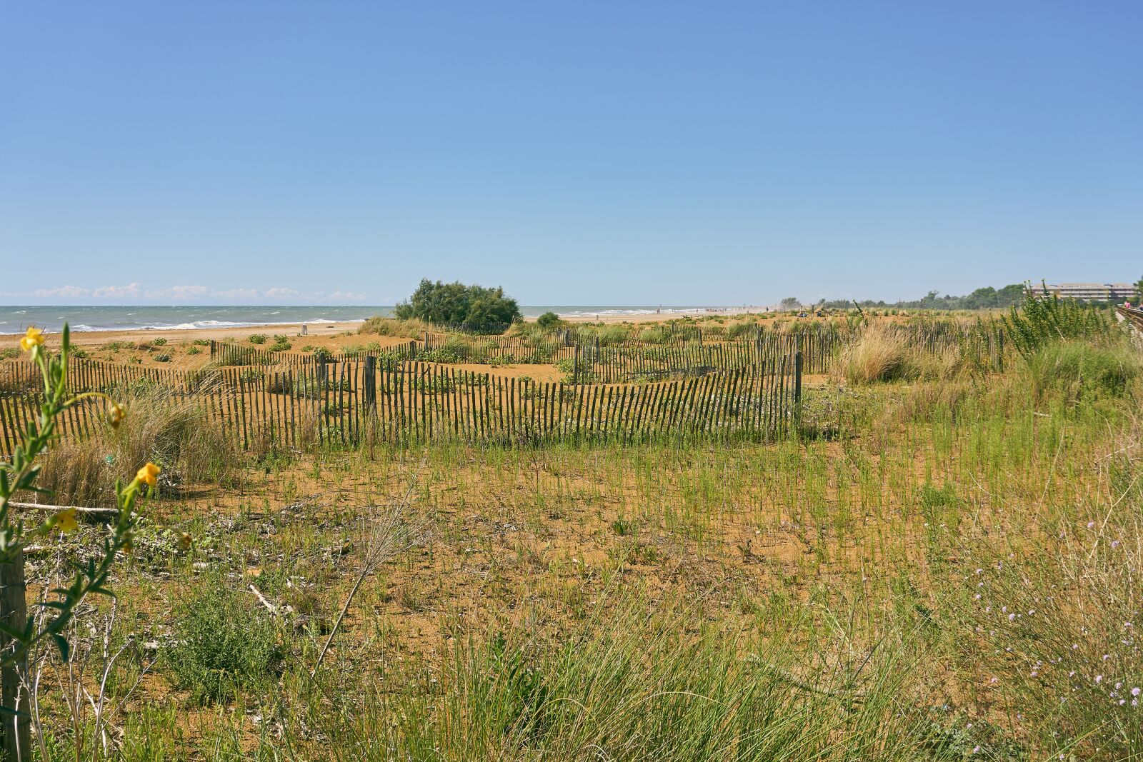 Sony a6400 sample photo. Sand, beach, fence photography