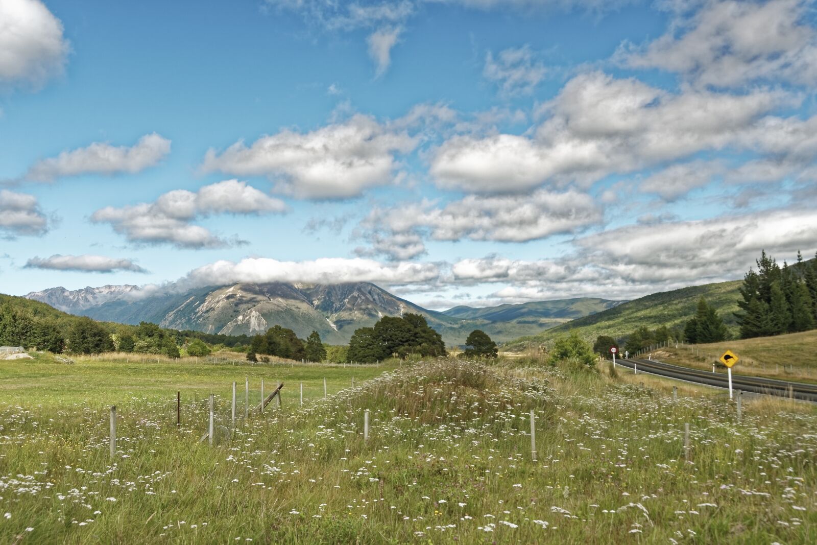 Nikon D500 sample photo. New zealand, mount richmond photography