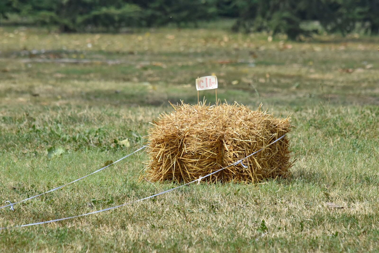 Nikon D5500 sample photo. Hay, hay field, grass photography