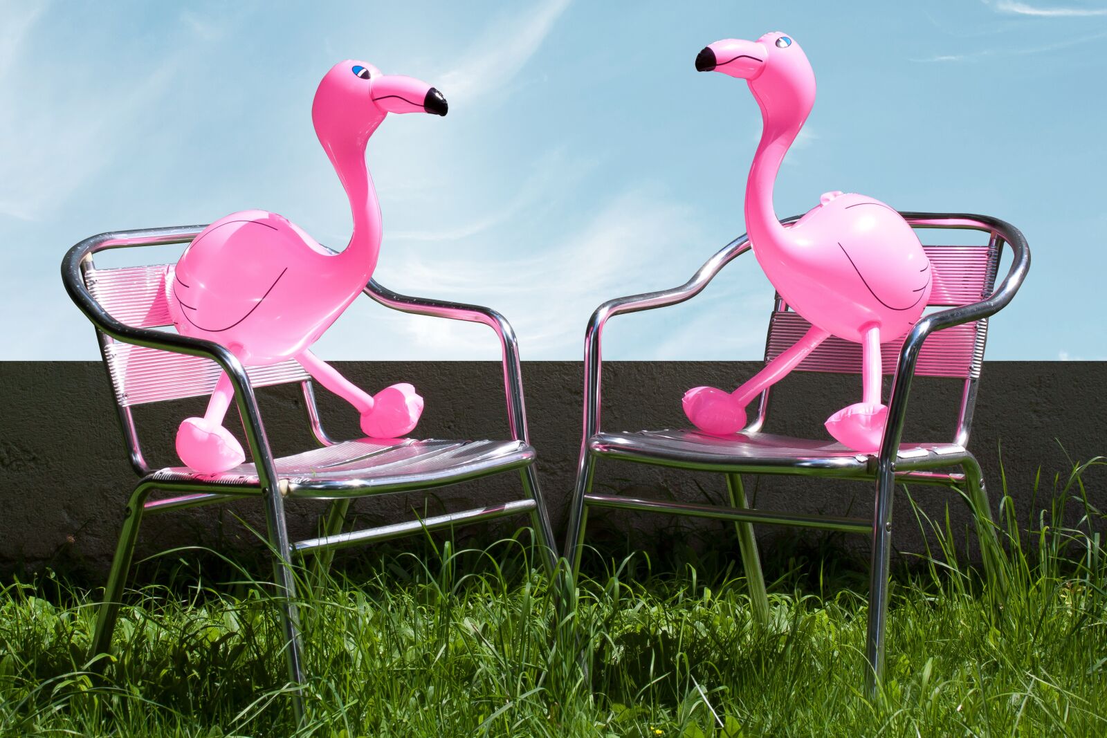 Canon EOS 50D sample photo. Flamingo, inflatable, pink photography