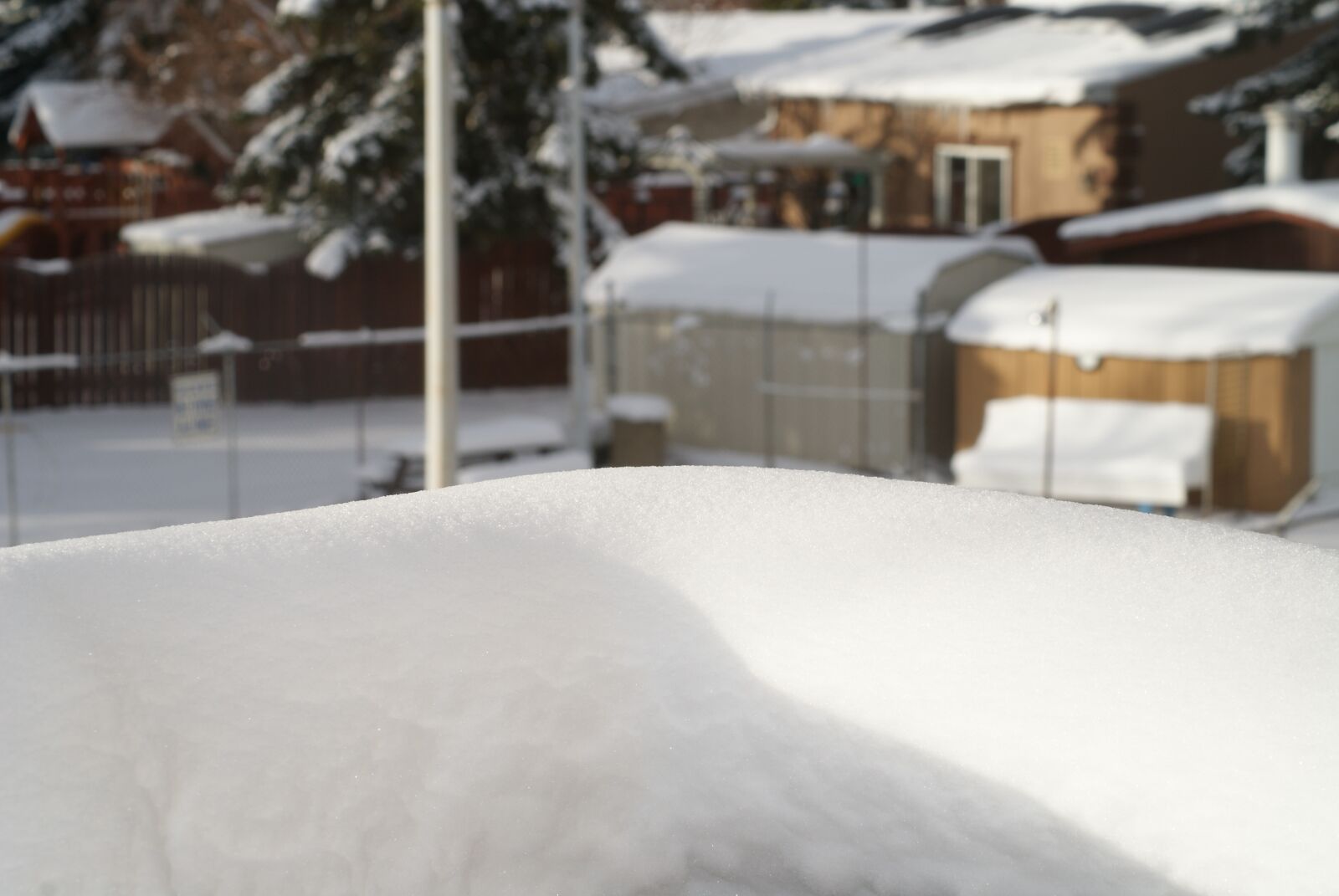 Sony Alpha DSLR-A200 sample photo. Winter, snow, white photography