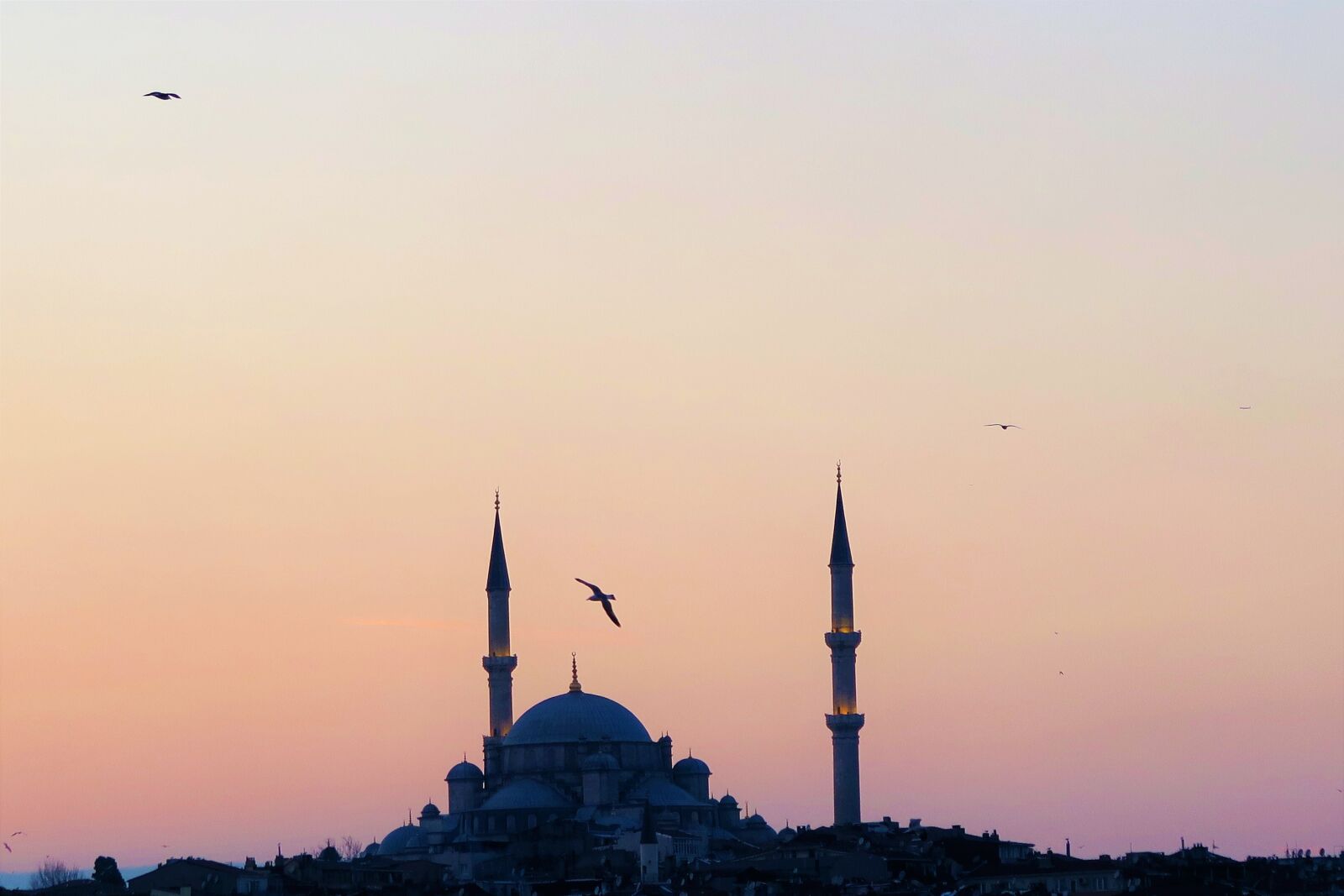 Canon PowerShot G7 X sample photo. Istanbul, day nativity, marine photography