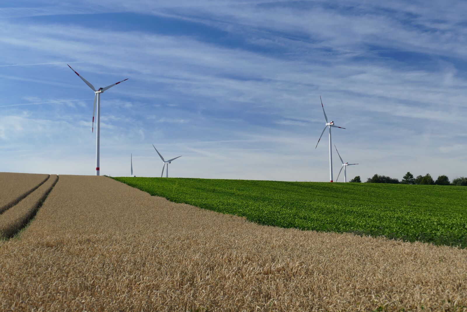 Panasonic Lumix DMC-FZ1000 sample photo. Nature, vision, wind turbines photography