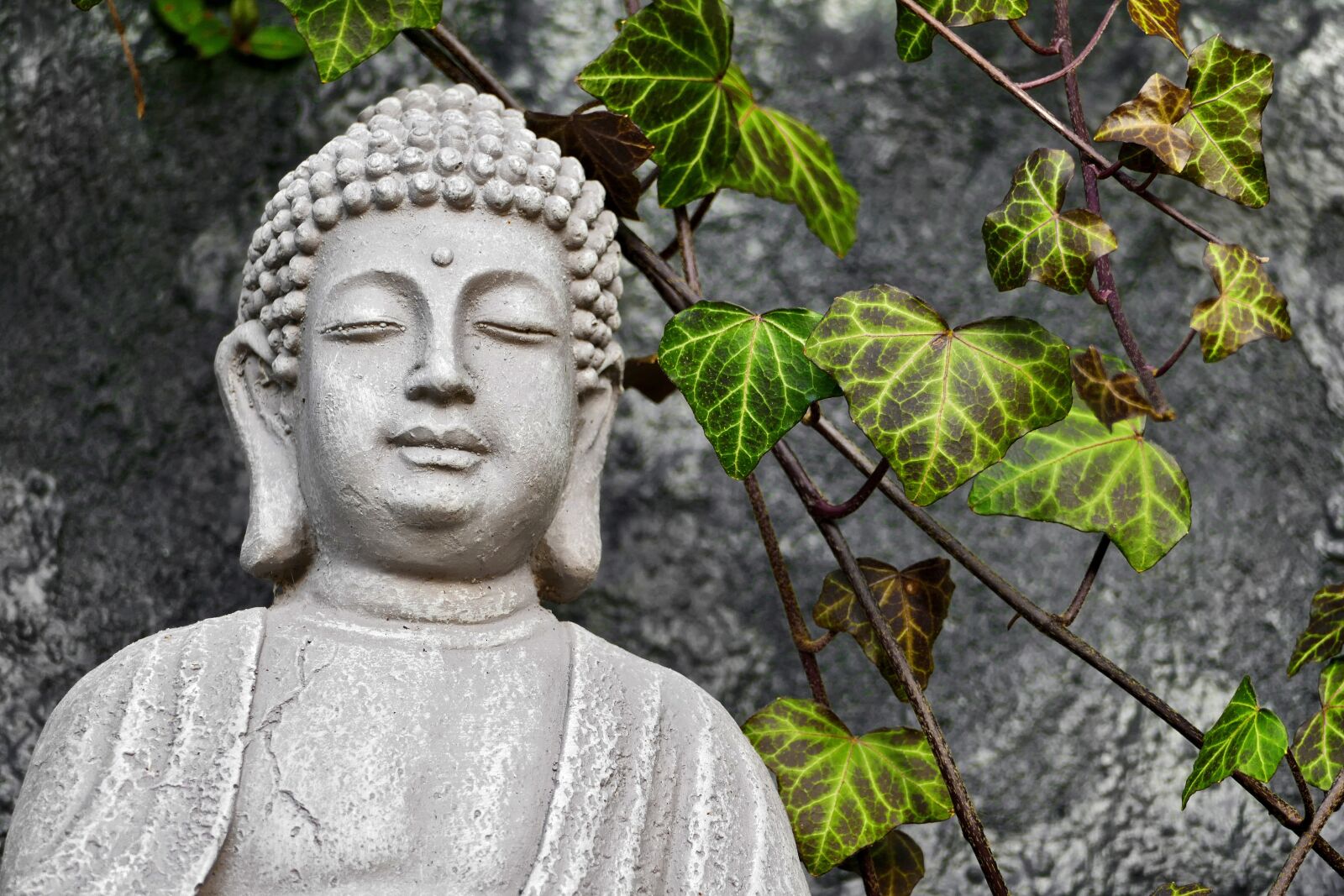 Panasonic Lumix DMC-FZ1000 sample photo. Buddha, sculpture, statue photography