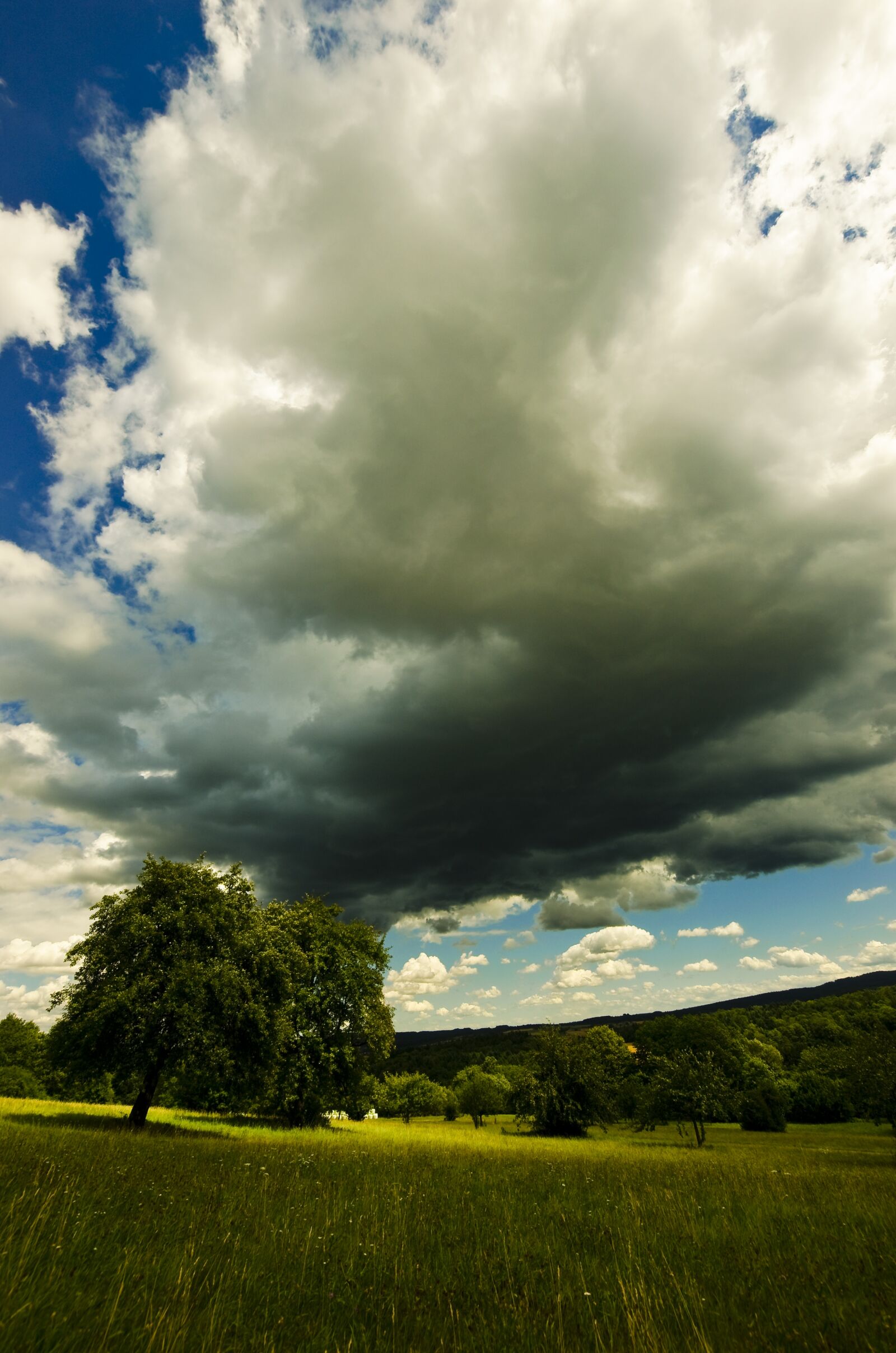 Nikon D5100 sample photo. Clouds, thunderstorm, tree photography