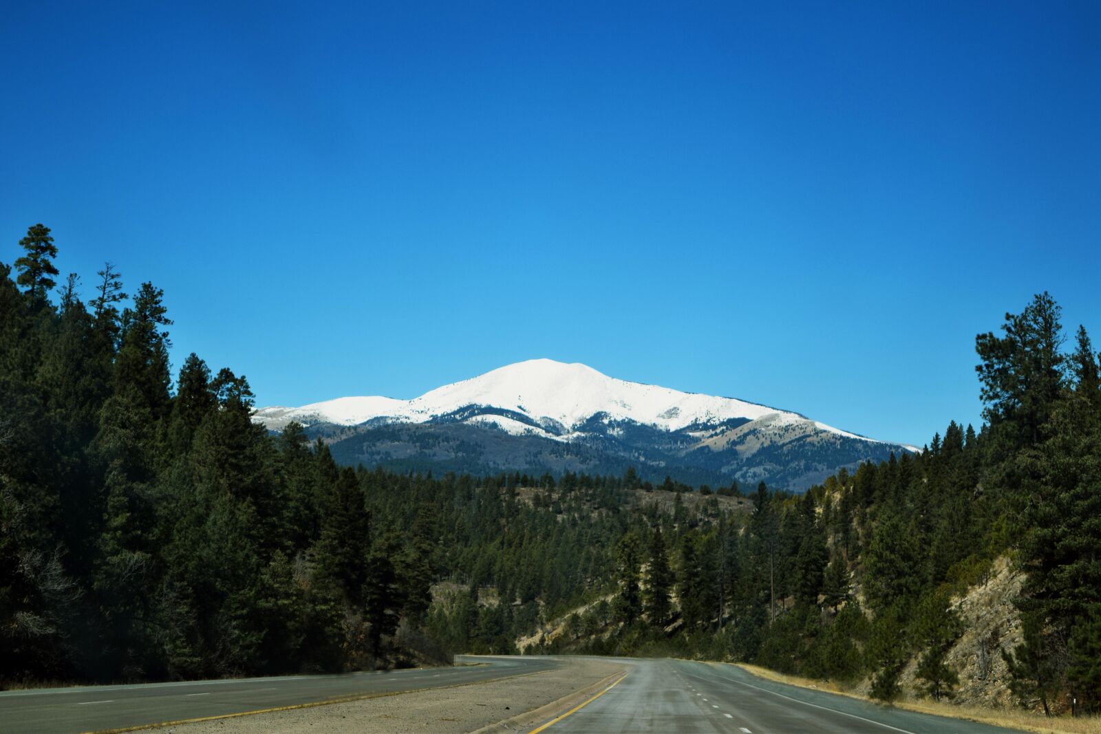 Nikon D5300 sample photo. Mountain, nature, tree photography