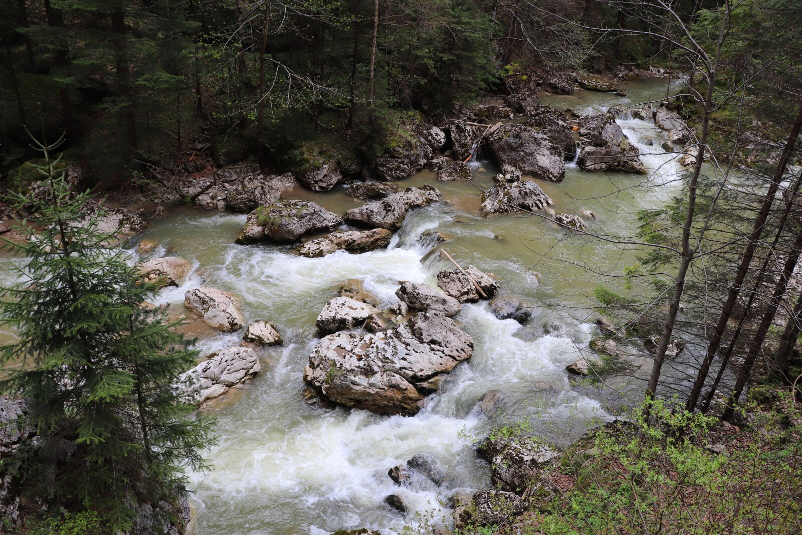 Canon EOS 200D (EOS Rebel SL2 / EOS Kiss X9) sample photo. River, rock, pierre photography