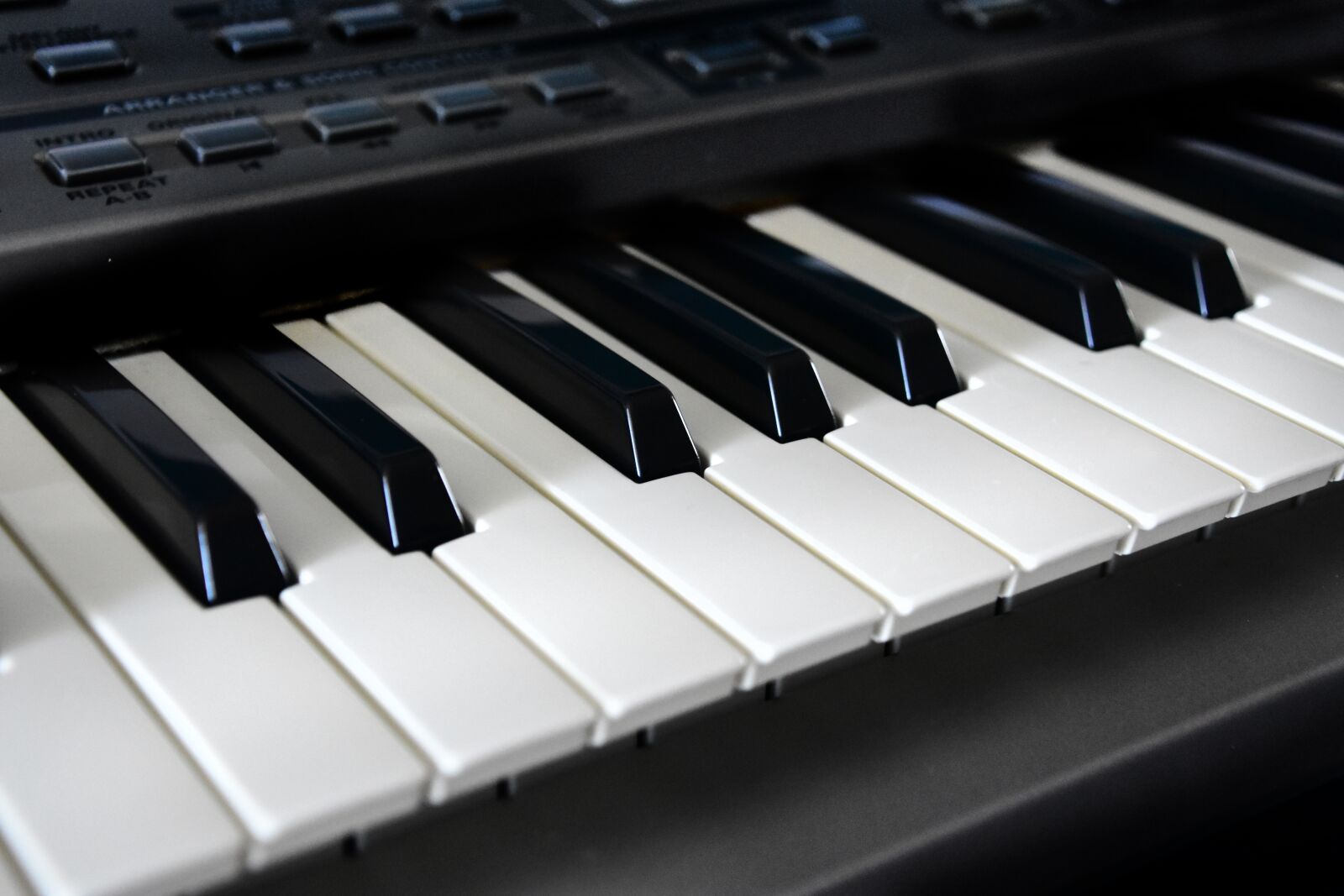 Nikon D3400 sample photo. Flowers, keys, piano photography