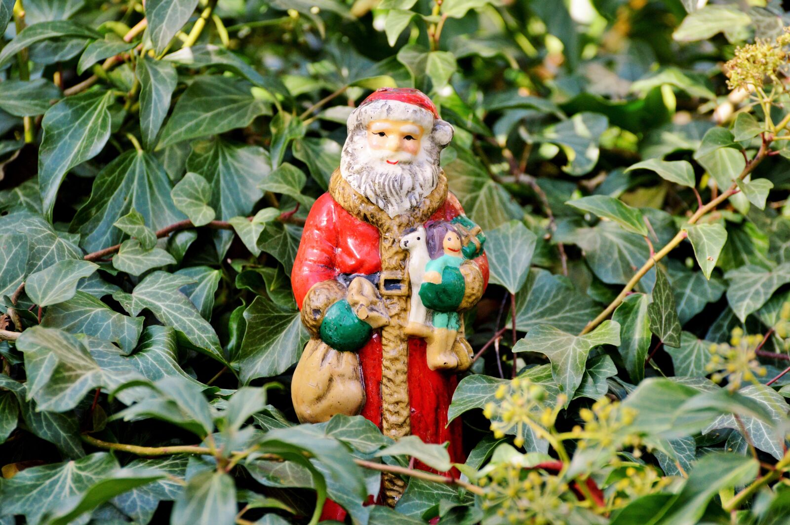 Nikon D3200 sample photo. Nicholas, santa claus, christmas photography