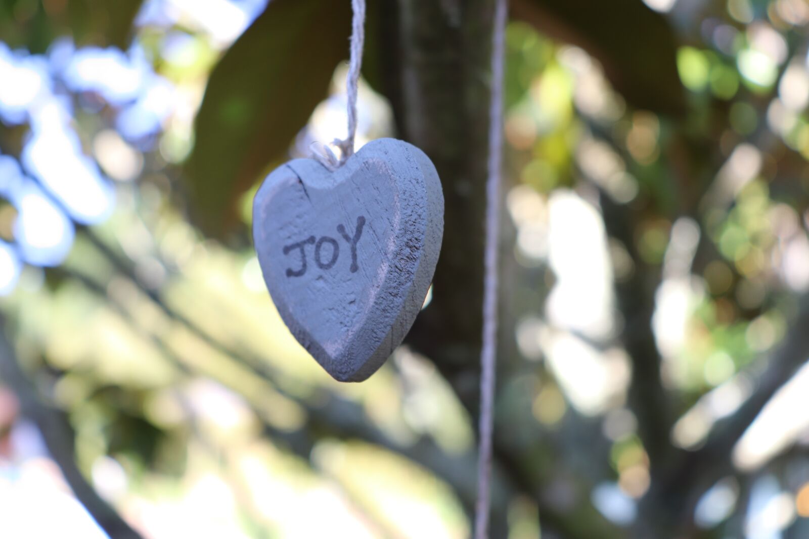 Canon EOS 800D (EOS Rebel T7i / EOS Kiss X9i) sample photo. Joy, heart, beauty photography