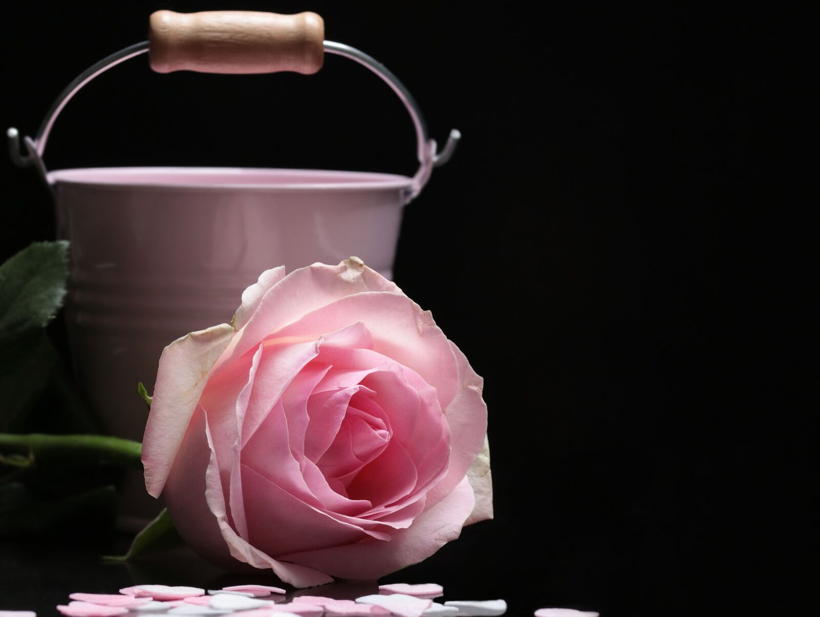 Canon EOS 80D sample photo. Still life, photo studio photography