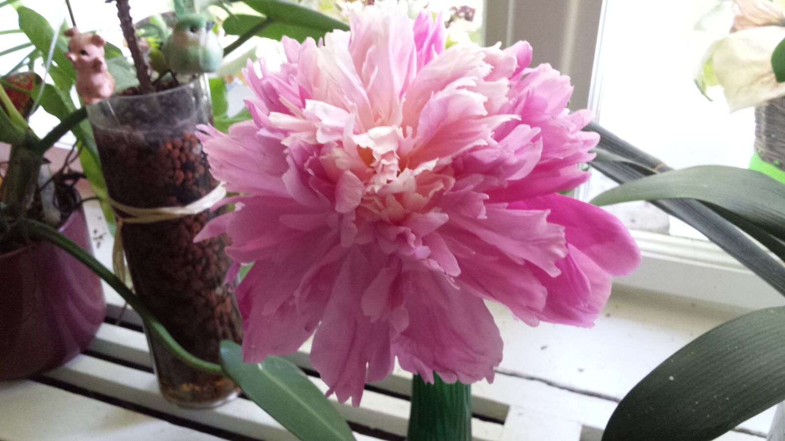 Samsung Galaxy S4 sample photo