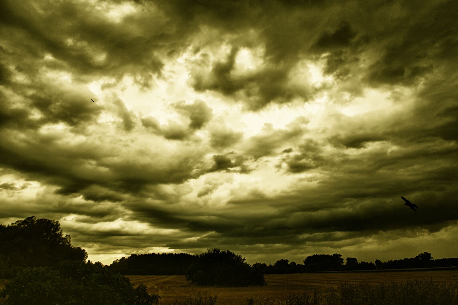 Nikon D5200 sample photo. Storm, clouds, sky photography