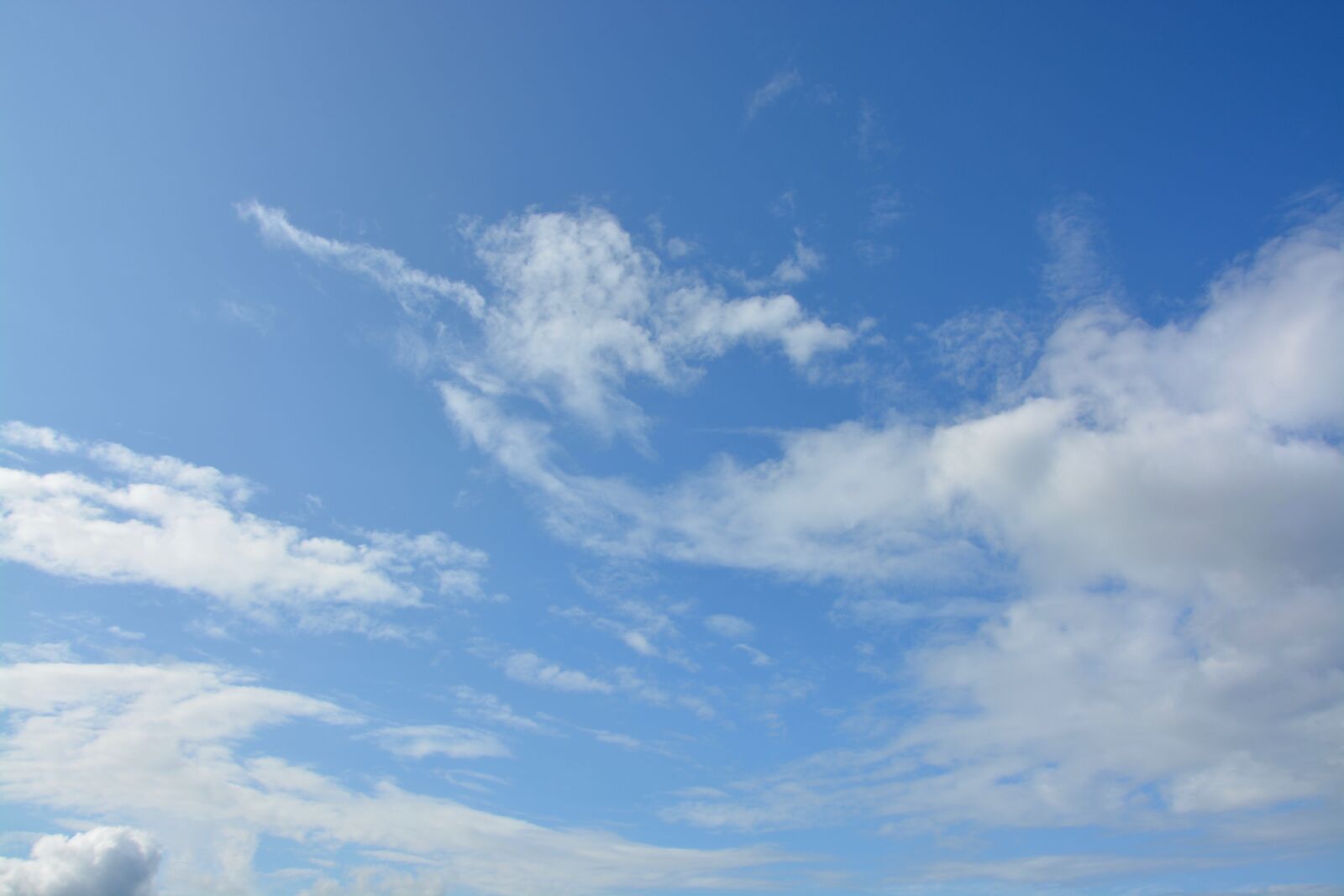 Nikon D5200 sample photo. White cloud, white clouds photography