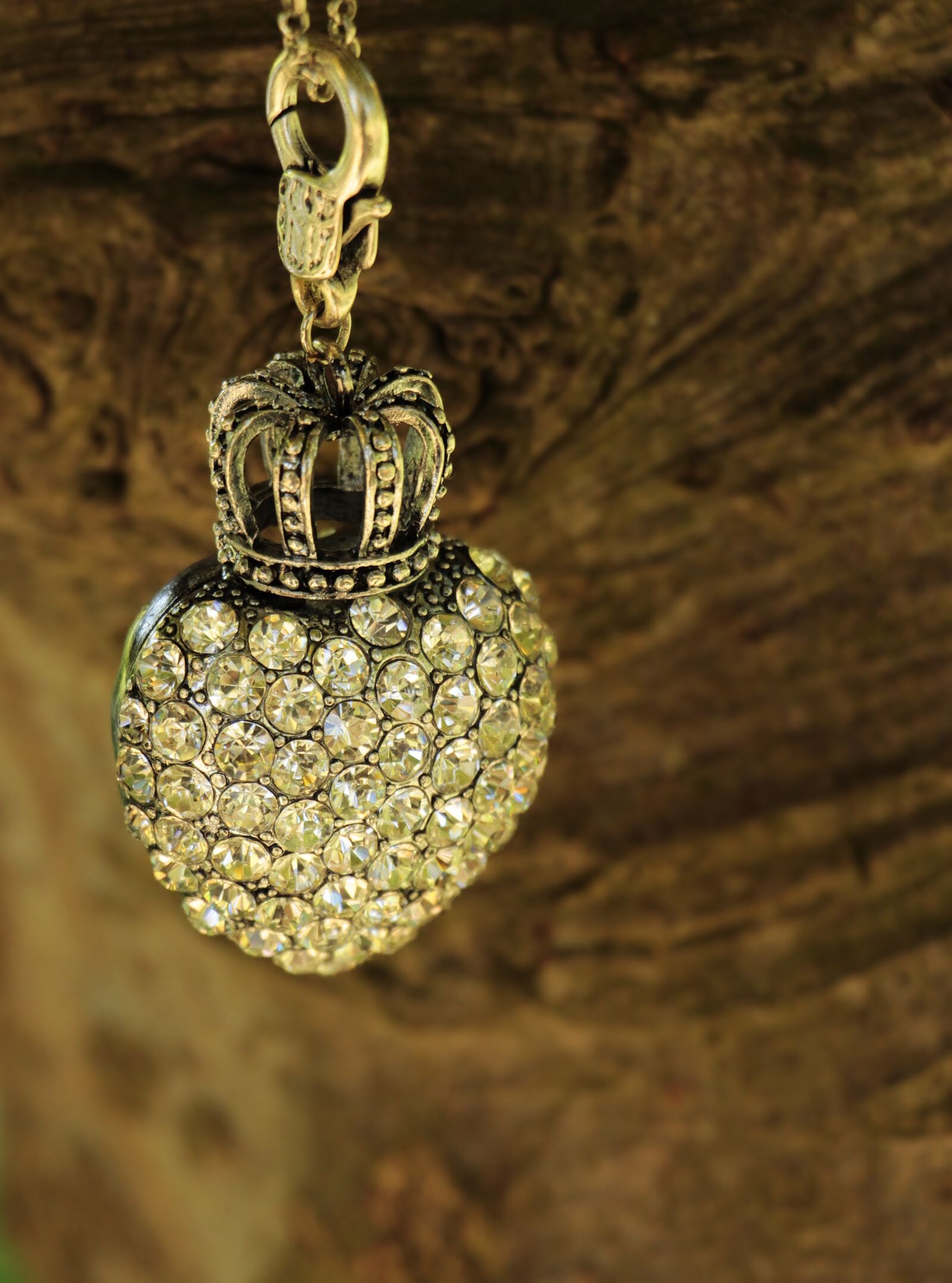 Canon EOS 100D (EOS Rebel SL1 / EOS Kiss X7) sample photo. Heart, crown, tree photography