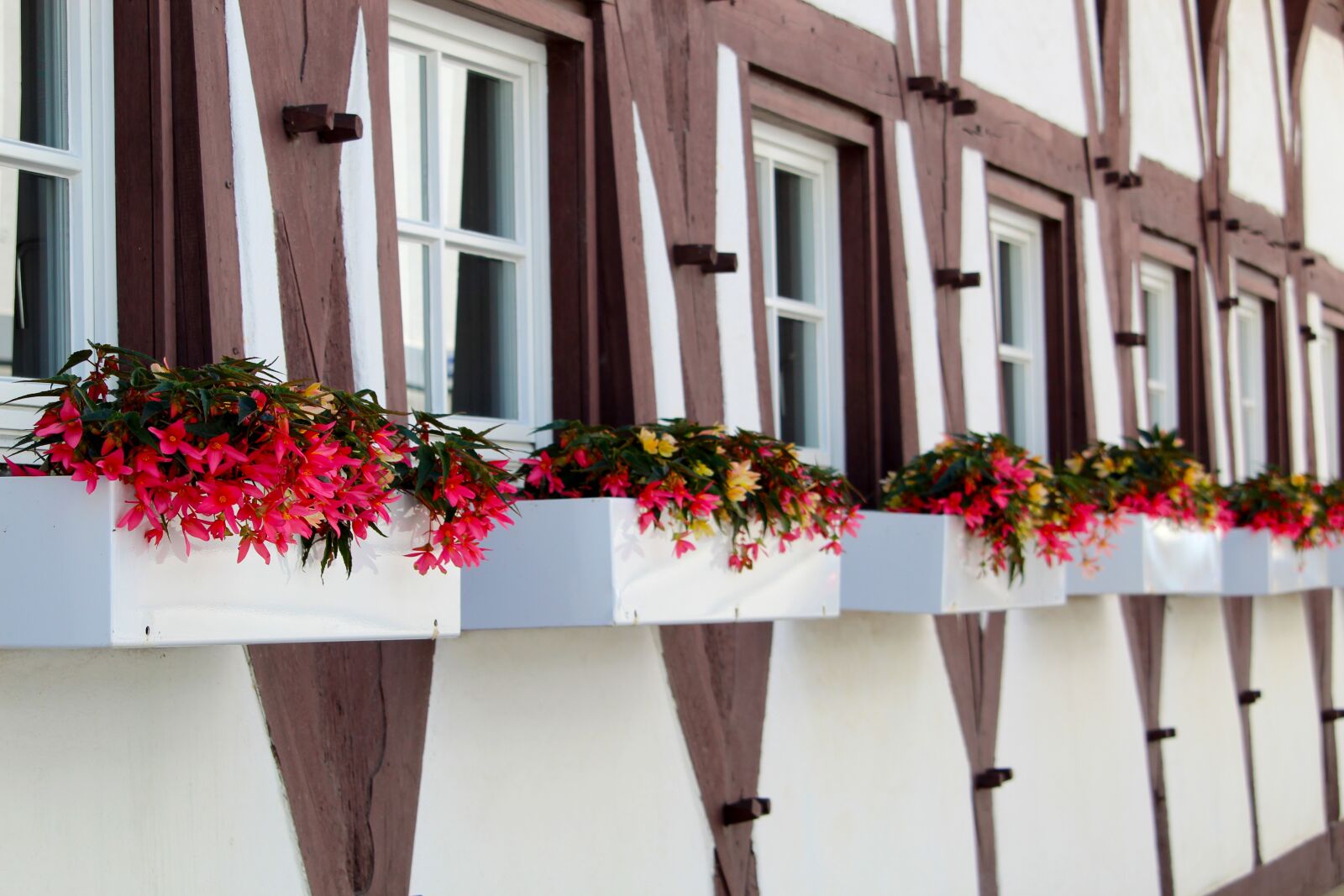 Canon EF-S 55-250mm F4-5.6 IS STM sample photo. Truss, flower boxes, biberach photography