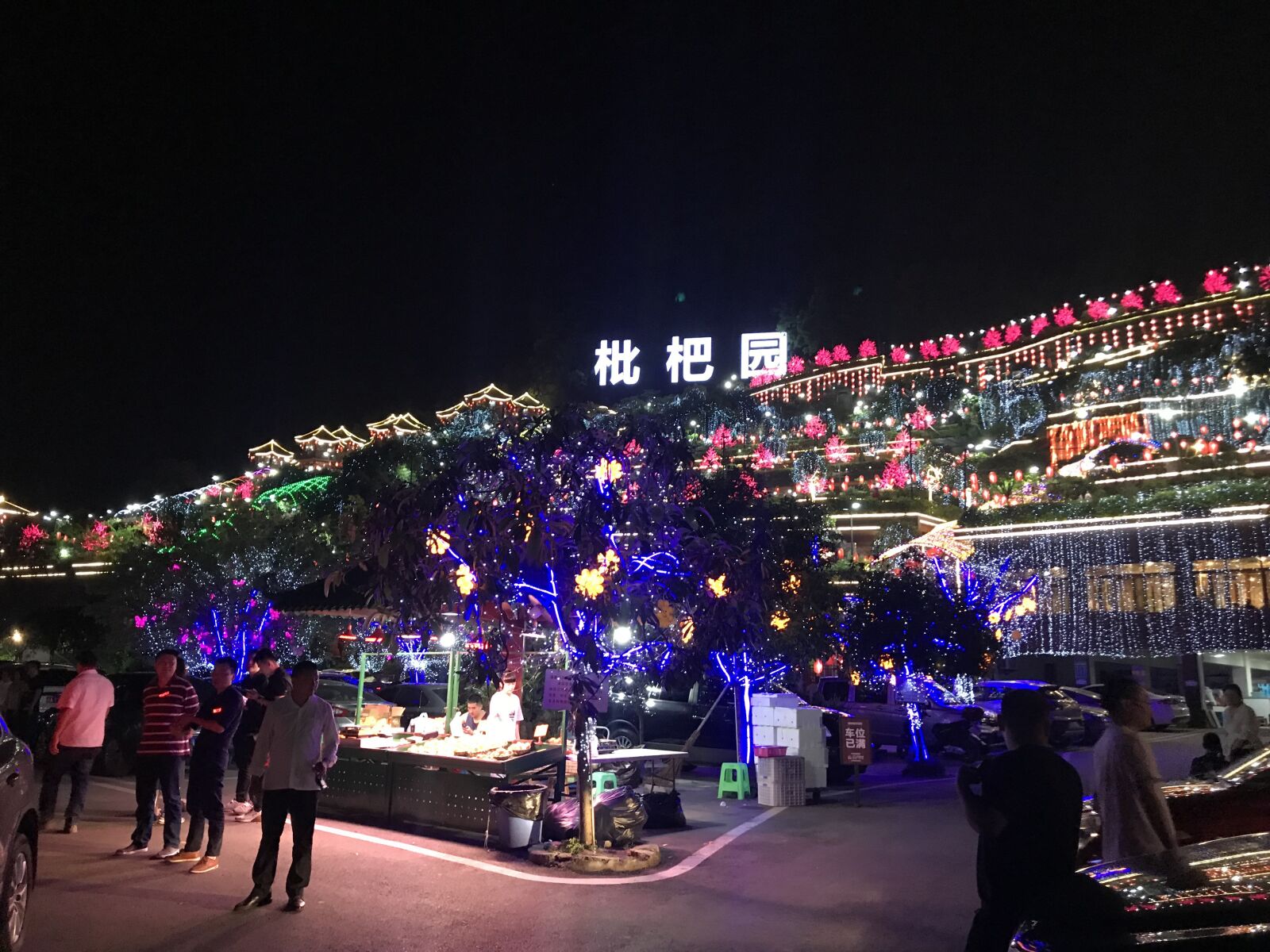 iPhone 7 Plus back dual camera 3.99mm f/1.8 sample photo. Chongqing, loquat garden, chafing photography