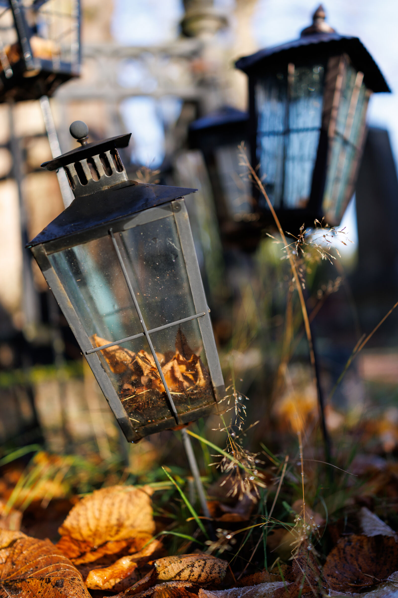 Canon EOS R5 Mark II sample photo. Graveyard lanterns photography