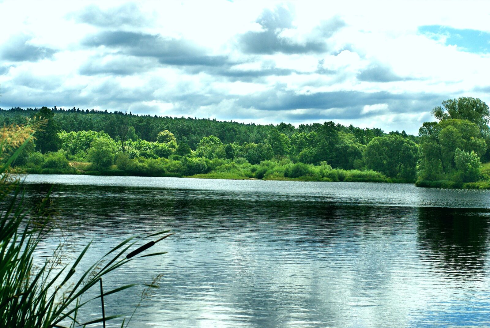 Sony Alpha DSLR-A200 sample photo. Author, skibka, photo photography