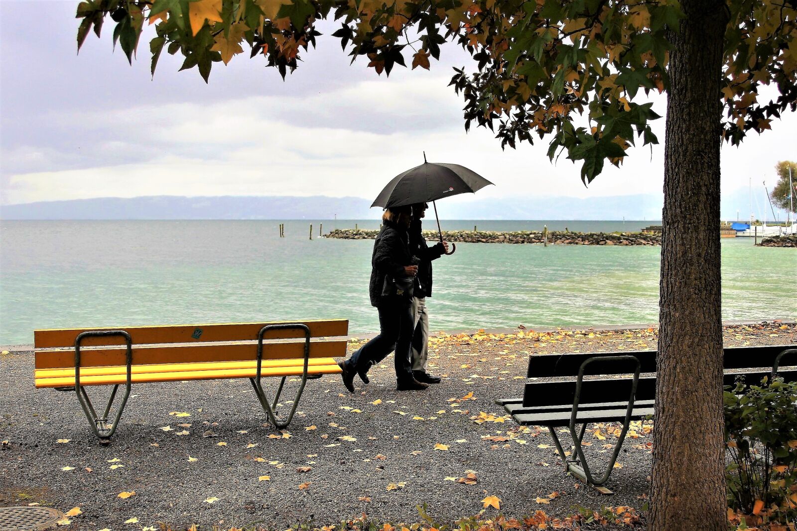 Canon EOS 400D (EOS Digital Rebel XTi / EOS Kiss Digital X) sample photo. Umbrella, rain, autumn photography