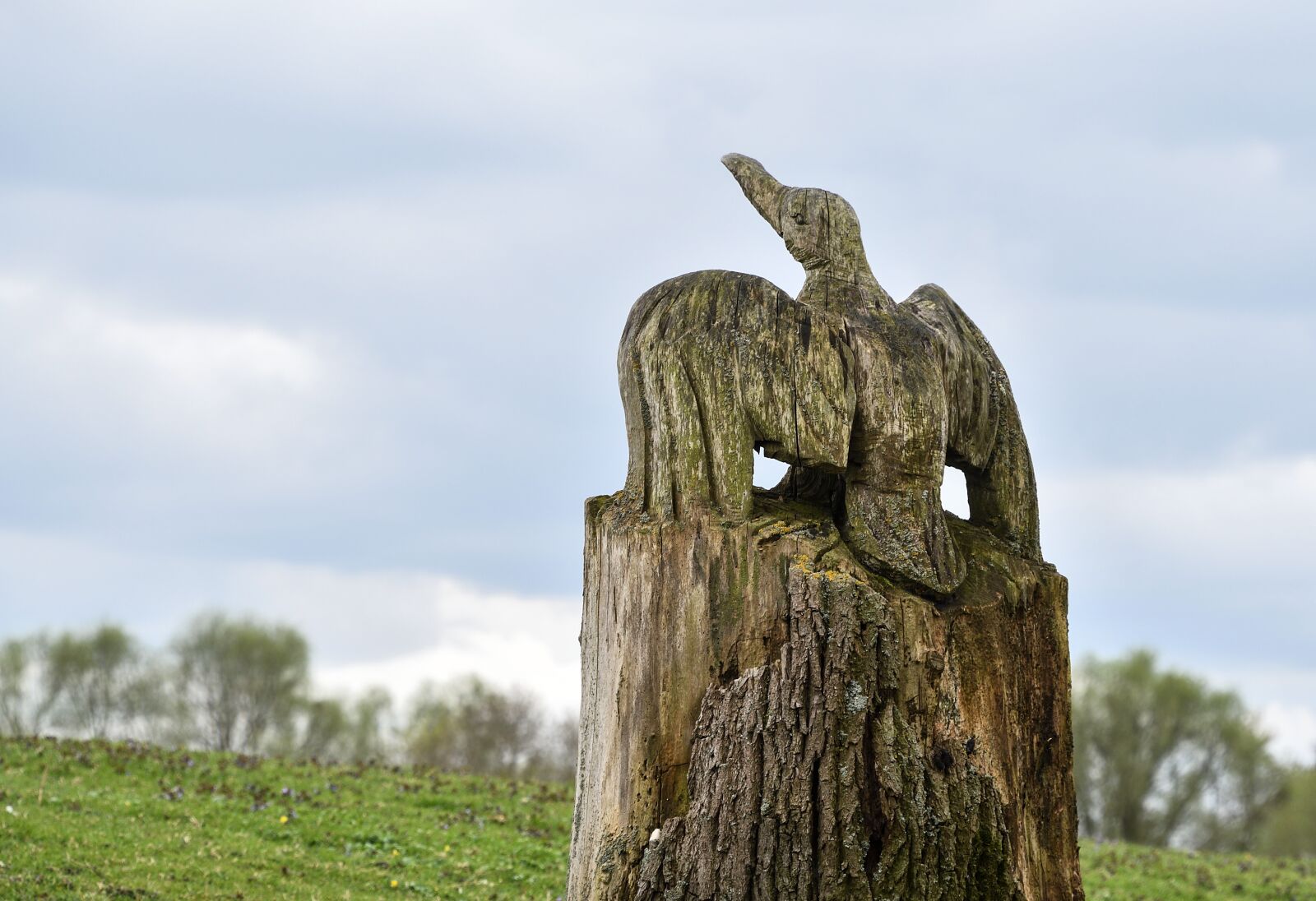 Nikon D500 sample photo. Bird, sculpture, wood photography