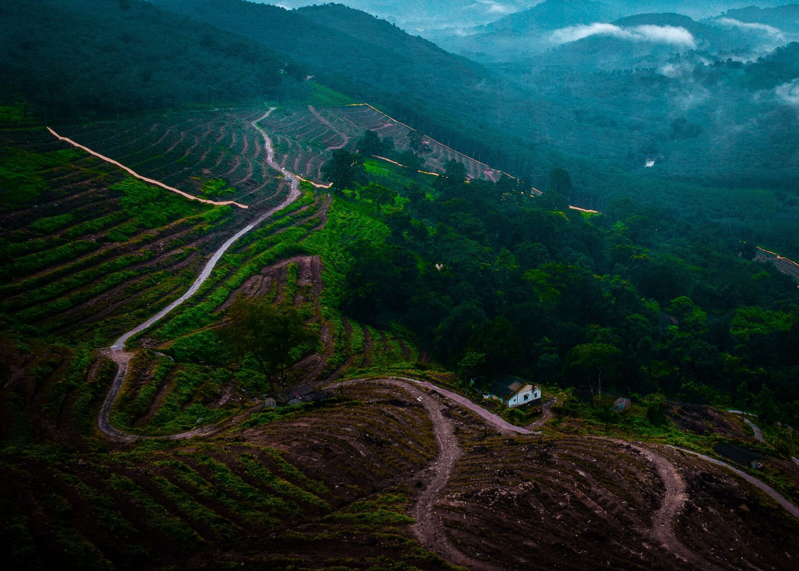 Nikon D3300 sample photo. Idukki, kerala, st photography