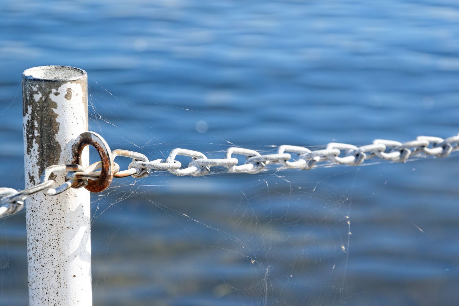 Nikon D5300 sample photo. Water, chain, barrier photography