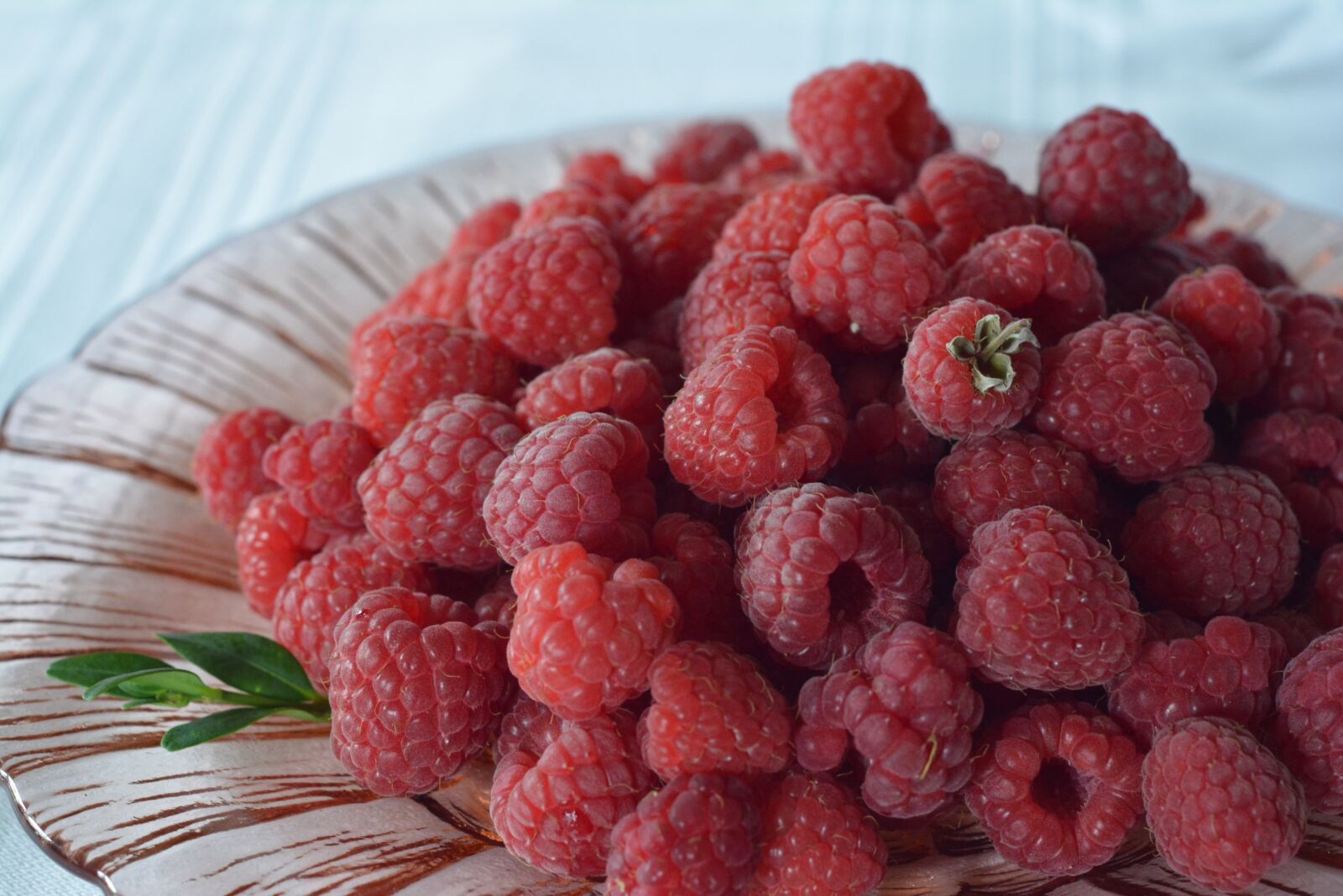 Nikon D5200 sample photo. Malina, raspberries, berries photography