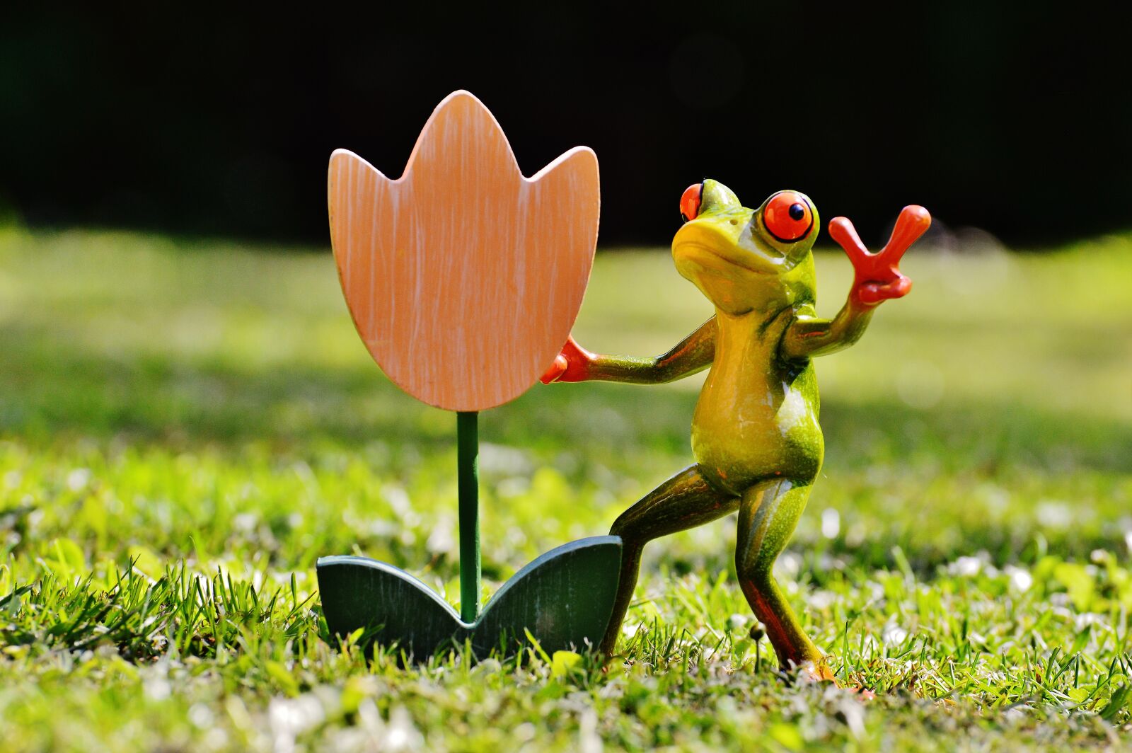 Nikon D3200 sample photo. Frog, flower, funny photography