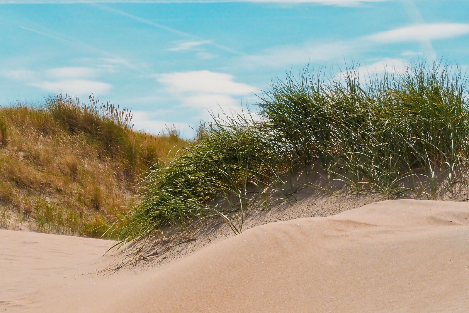Olympus OM-D E-M10 sample photo. Beach, dune, sand photography