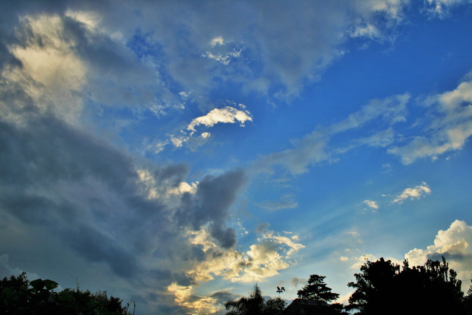 Canon EOS 400D (EOS Digital Rebel XTi / EOS Kiss Digital X) sample photo. Spreading cloud, sky, blue photography