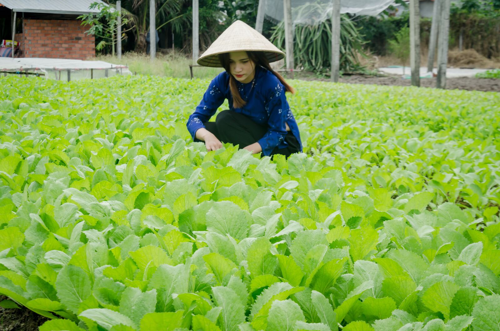 Nikon D5100 sample photo. Girl, farmer, the cultivation photography